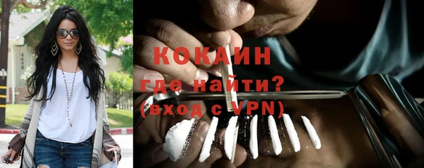прущие грибы Медвежьегорск