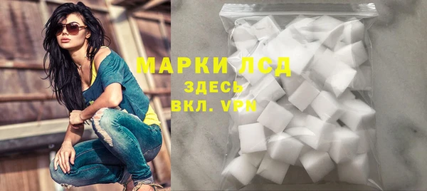 прущие грибы Медвежьегорск