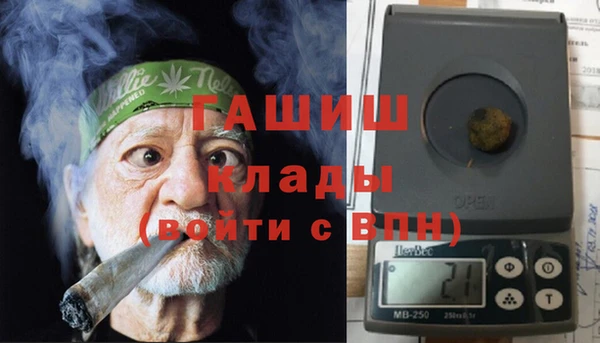 прущие грибы Медвежьегорск