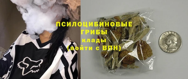 прущие грибы Медвежьегорск