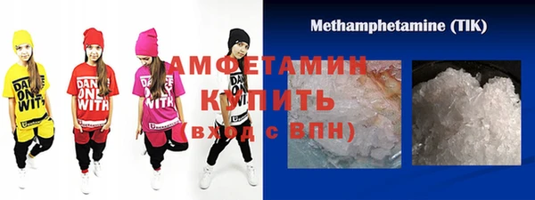 прущие грибы Медвежьегорск