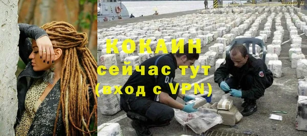 прущие грибы Медвежьегорск
