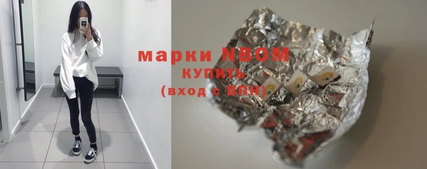 прущие грибы Медвежьегорск