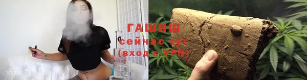 прущие грибы Медвежьегорск