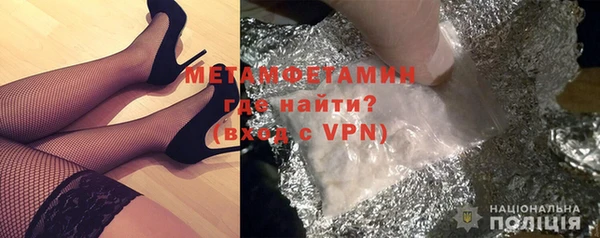 прущие грибы Медвежьегорск