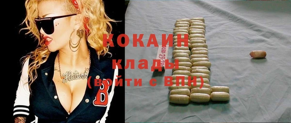 прущие грибы Медвежьегорск