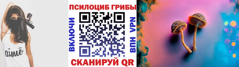 Купить закладки  Дорогобуж  Галлюциногенные грибы GOLDEN TEACHER 