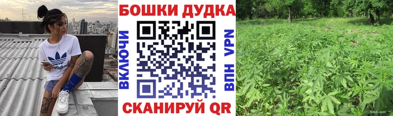 Купить где  Дорогобуж  Канабис тримм 